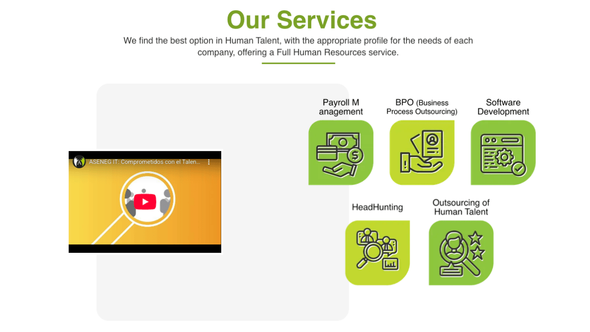 aseneg servuces overview