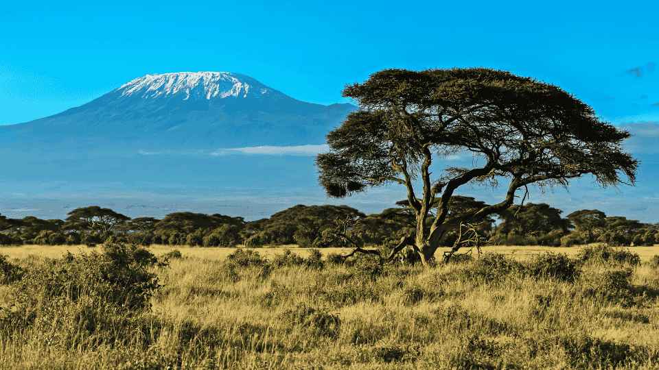 Picture of landscape in Kenya with Mount Kilimanjaro in the background