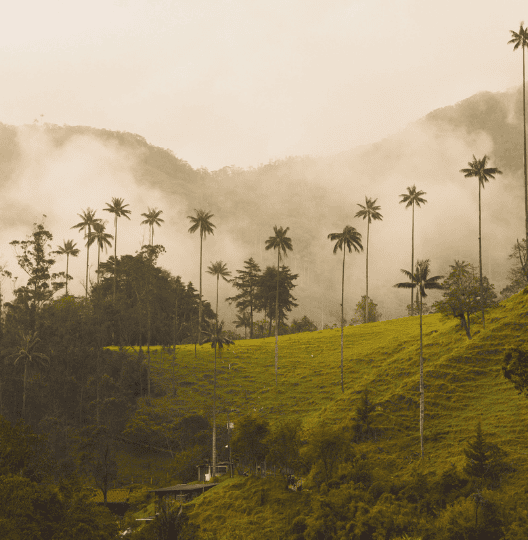 colombia picture landscape