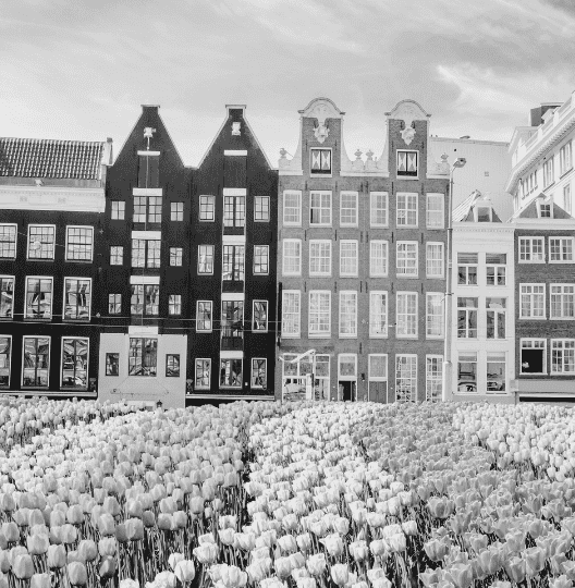 netherlands picture of amsterdam