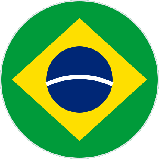 brazil flag round