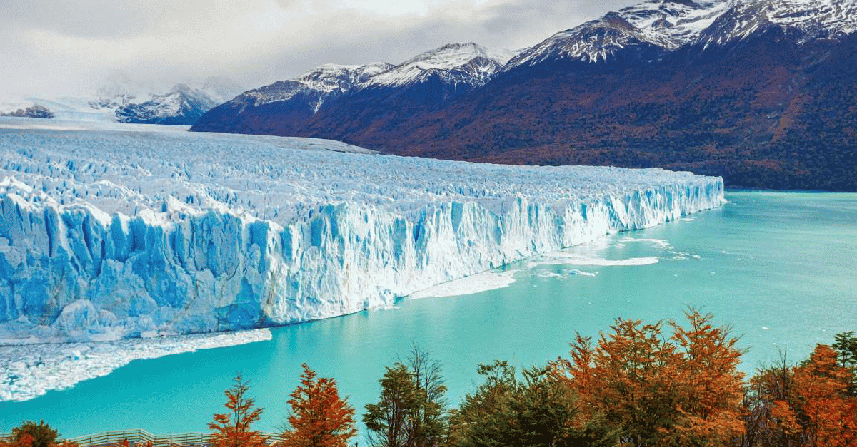 argentina south nature